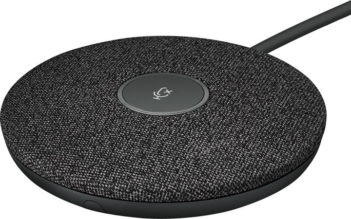 Actual product image Logitech Rally Plus