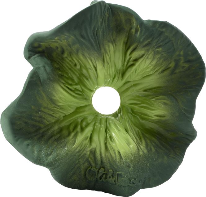 Actual product image Oli and Carol Mini Doudou - Teether Kendall the Kale