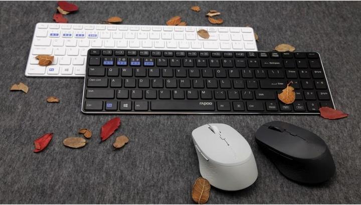 Actual product image Rapoo X9300M (DE, Wireless)