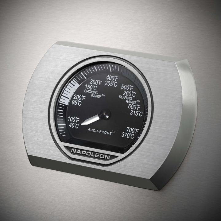 Produktbild Napoleon Rogue XT 365 (13.50 kW)