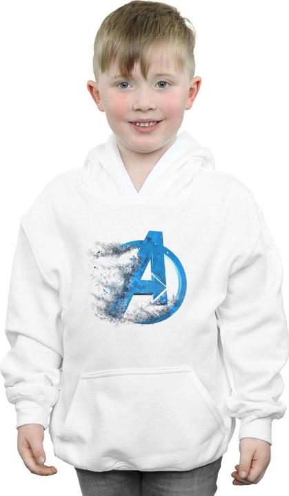 Produktbild Avengers Endgame Dusted Logo Kapuzenpullover Jungen (140, 146)