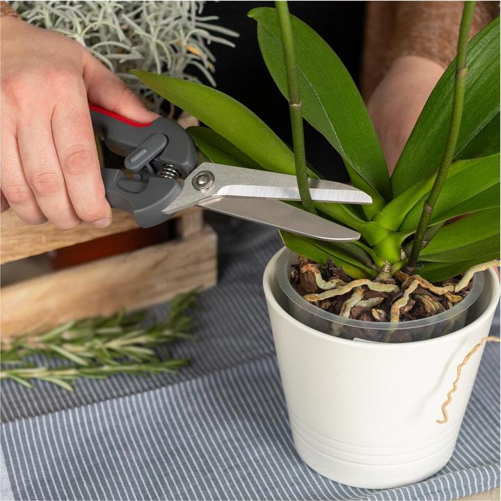 Actual product image Kuhn Rikon Pro Kitchen Shears (24 cm)