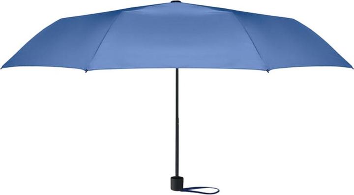 Bleu roi
