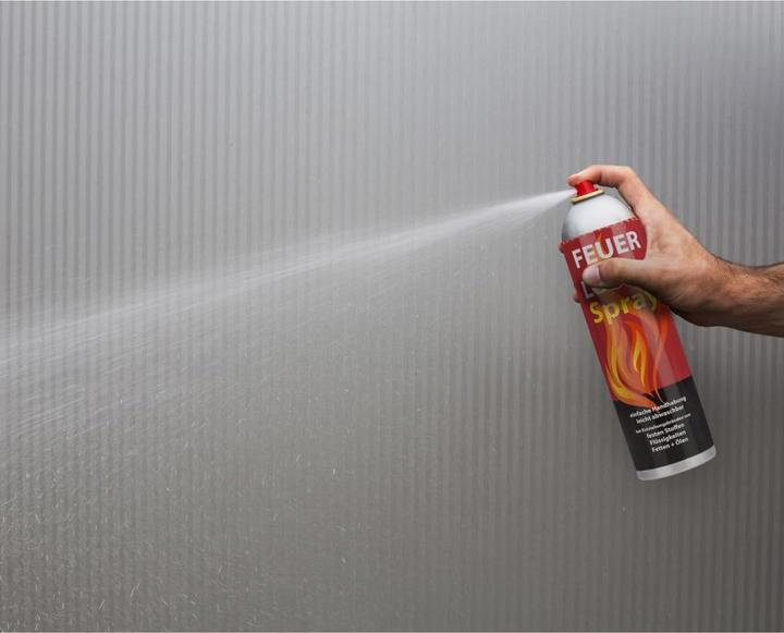 Produktbild Smartwares FS600DE Feuerloeschspray Fettbrand DE (A, B, F)