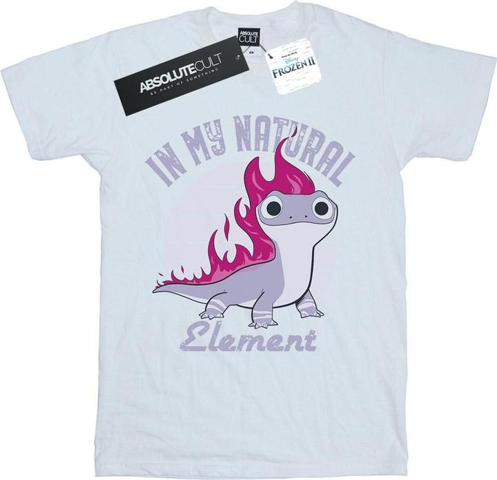 Disney Frozen 2 Salamander Bruni Element TShirt (XL)