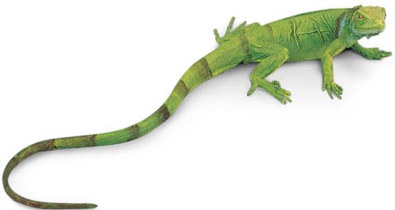 Image du produit Safari Ic Iguane bébé