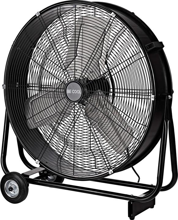 Fan