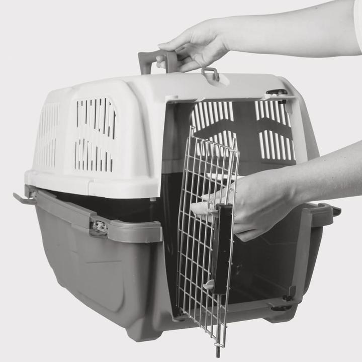 Actual product image Trixie 3 Iata (Dog, Safety closure)