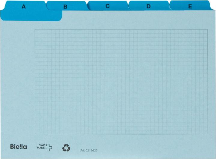 Biella Fiches-guides A6 (A6, 450 g/m², 25 x)