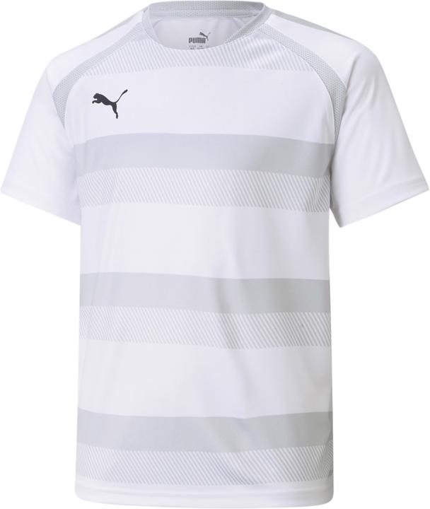 pumawhiteglaciergrayblack