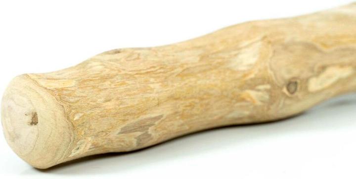 Image du produit Gloria Jouet pour chien Stick XS chewing-gum bois (1 pièce)