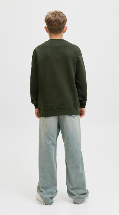 Actual product image Jack & Jones Sweatshirt Junior Sweatshirt (164)