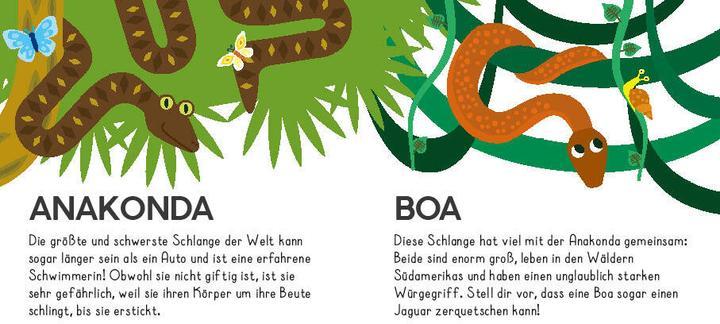 Produktbild National Geographic Meine Puzzle-Box: Dschungel (36 Teile)