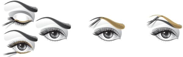 Image du produit Tolure Hairplus Cils et sourcils (3 ml)