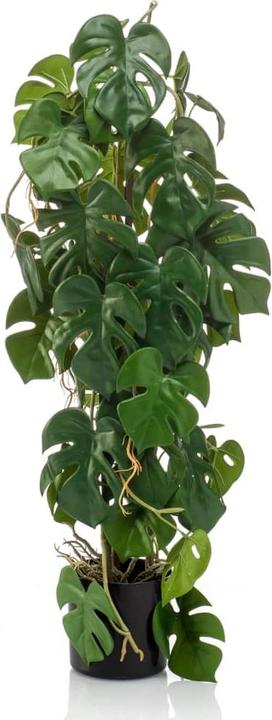 Emerald Josy (75 cm)