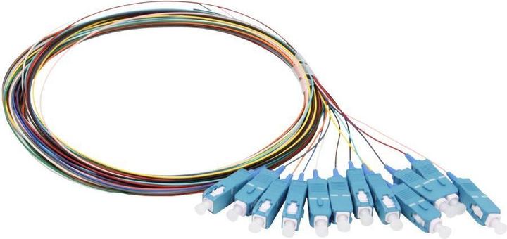Produktbild Synergy 21 LWL-Pigtail-SC 9/125u, 2mtr. OS2, 12-Pack, farbig, G657.A2 (UTP, CAT6, 2 m)