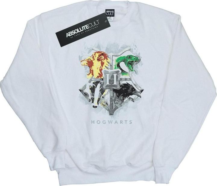Hogwarts Painted Crest Sweatshirt Jungen (116)