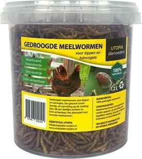 Utopia Vermi da cortile (1 x, 0.23 kg)