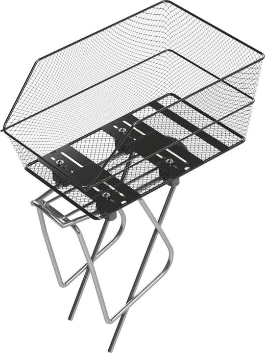 Actual product image Basil Scuola-Cento (27 l)