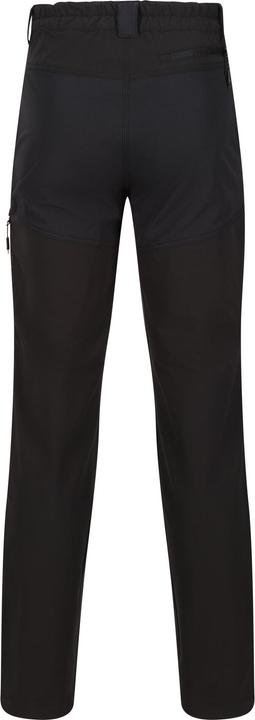 Actual product image Regatta Mens Questra V Hiking Trousers (Frequency band 38 (2600 MHz))