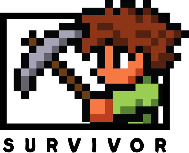 Produktbild Terraria Survivor Sweatshirt (XXL)