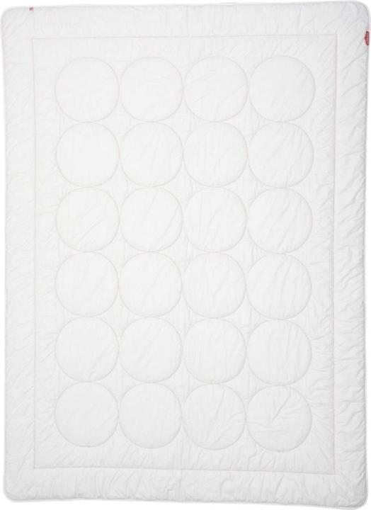 Produktbild Zizzz Ganzjahres Duvet Wolle (Swisswool) (870 g, 150 x 200 cm)