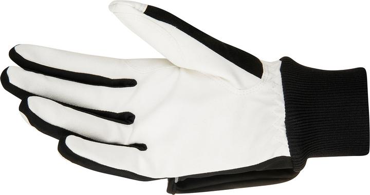 Produktbild Daehlie Glove Race Coverage (6)