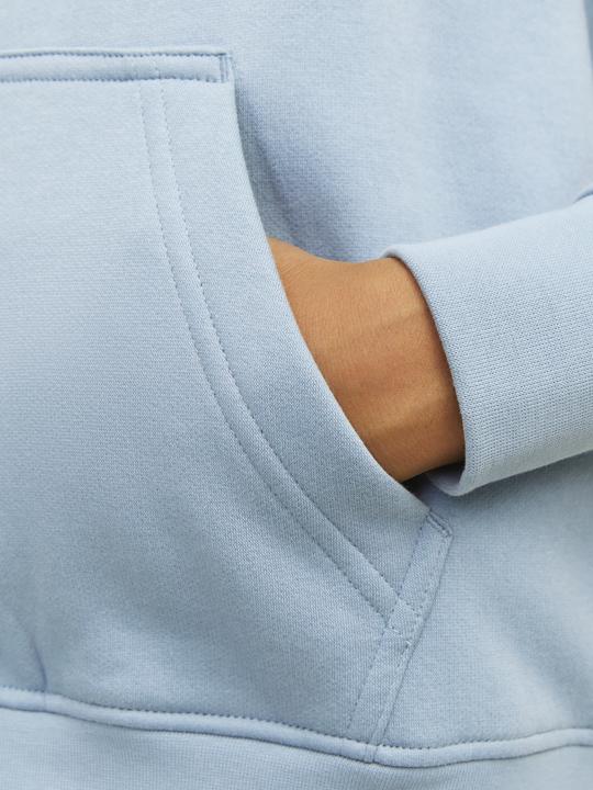 Actual product image Jack & Jones Jorvesterbro Sweat Hood Noos Mni (116)