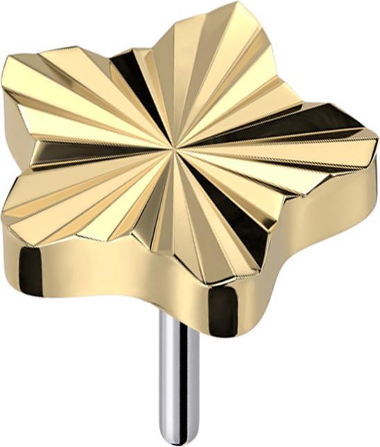 Star Piercing Threadless Diamantschliff Scheibe Stern vergoldet (Titan G23, ohne Messing)