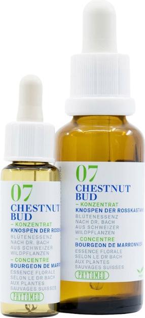 Produktbild Phytomed Bachblüten No7 Knospen der Rosskastanie (1 Stück, Tropfen, 24 g)
