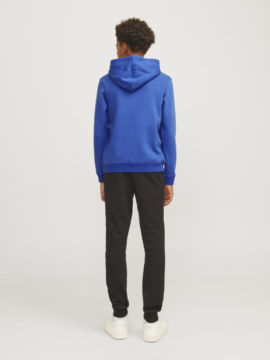 Produktbild Jack & Jones Jcomountain Logo Sweat Hood Sn Mni (122)