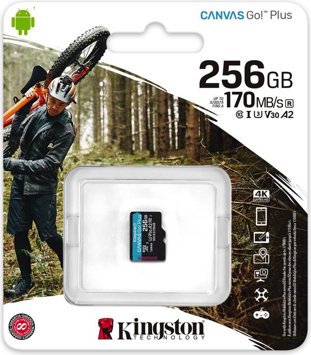 Immagine prodotto Kingston Tela Go Plus (256 GB, microSDXC, U3, UHS-I)