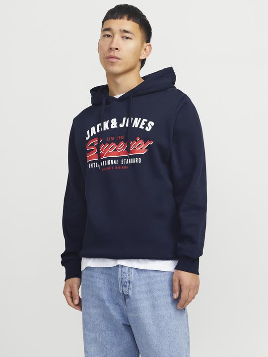 Immagine prodotto Jack & Jones JJELOGO SWEAT HOOD 2 COL 24/25 NOOS (XS)