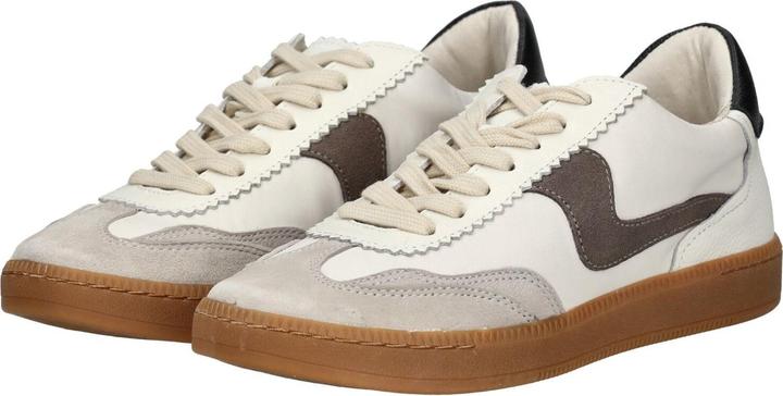 Immagine prodotto Dolce Vita Sneaker (39)