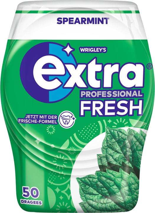 Wrigley PROFESSIONAL Fresh Spearmint chewing gum 50 lozenges (50 pcs., 70 g)