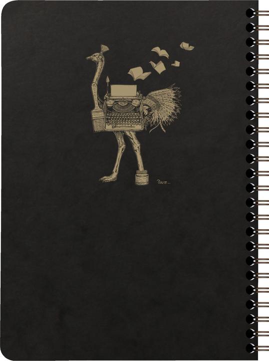 Image du produit Clairefontaine Flying Spirit (A5, À rayures)