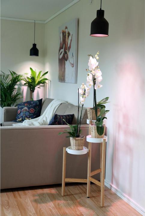 Immagine prodotto Venso Saga (LED, 230 V)