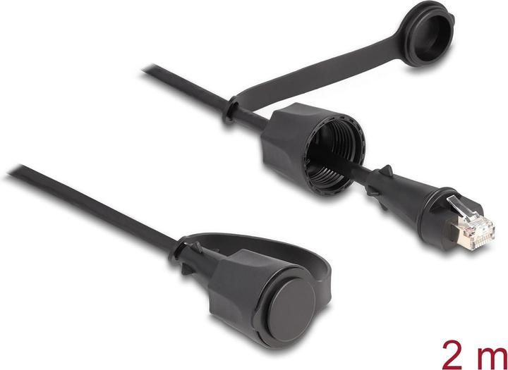 Image du produit Delock Câble réseau RJ45 à RJ45 Cat.6 STP avec capuchon d'étanchéité Extérieur IP68 poussière et humidité (S/UTP, CAT6, 2 m)
