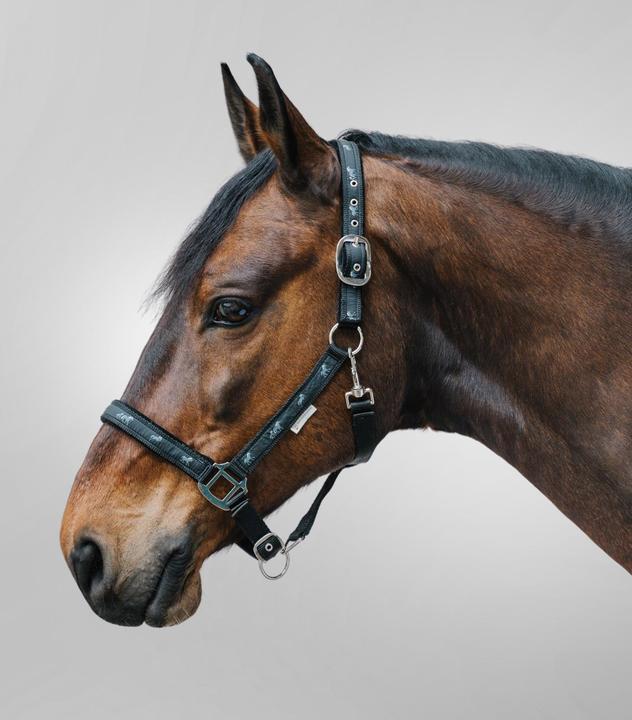 Immagine prodotto Waldhausen Testa per cavallo con decorazione di piccoli cavalli