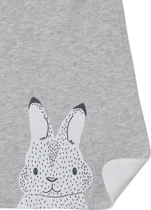 grey rabbit little friends