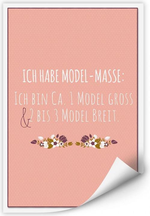 Produktbild Trenddeko Ich habe Modelmasse... (70 x 100 cm)