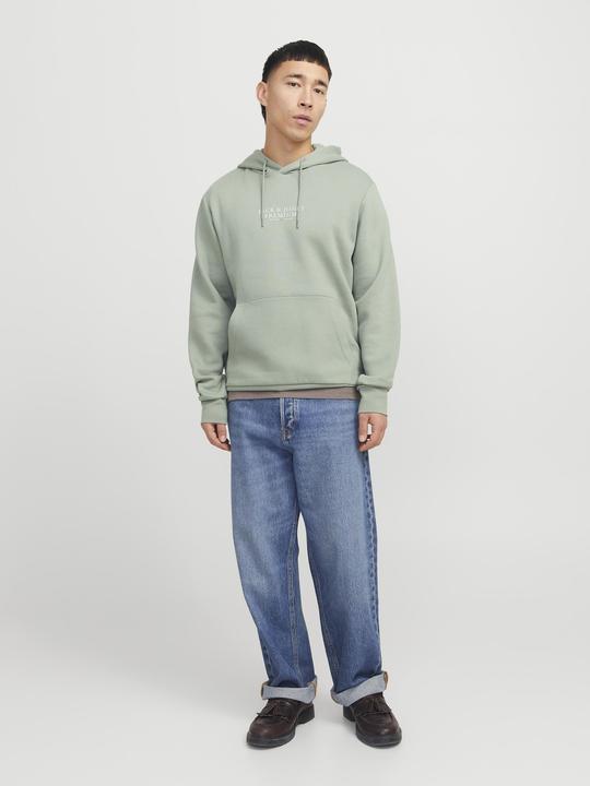 Immagine prodotto Jack & Jones Jprbluarchie Sweat Hood Noos (L)