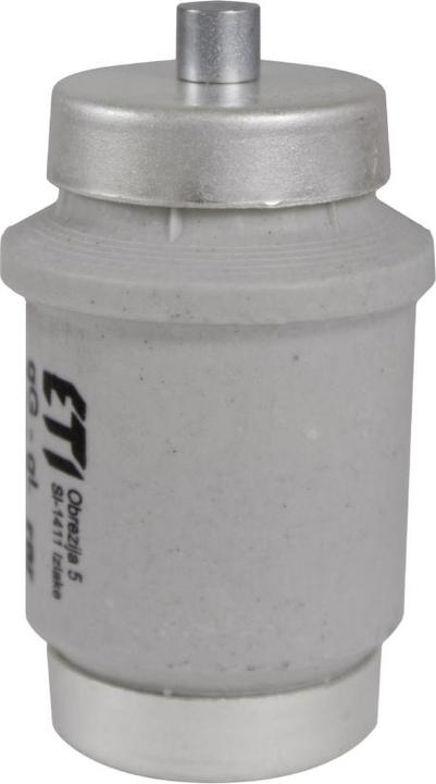 Produktbild Eti Polam Sicherungseinsatz 100A DIV gG 500V E40 (002314402) (NH-DIN Sicherung, 100 A)