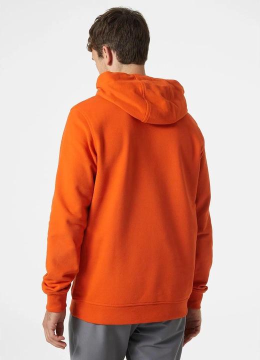 Actual product image Helly Hansen HH Logo Hoodie (M)
