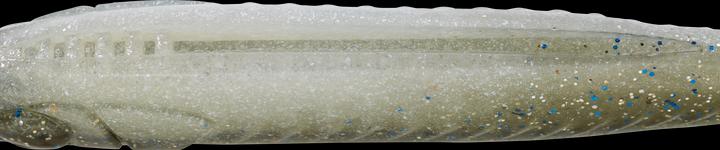 Caperlan 332780 (10 cm)