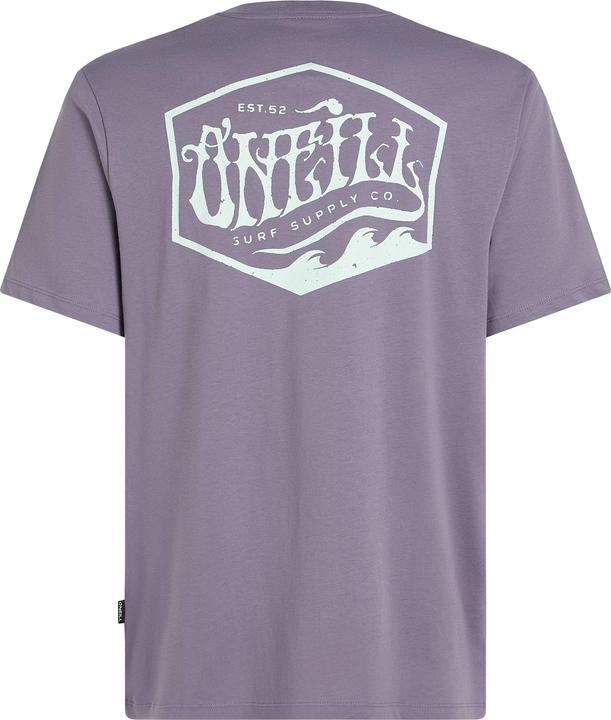 Actual product image O'Neill Box Logo T-Shirt (XXL)