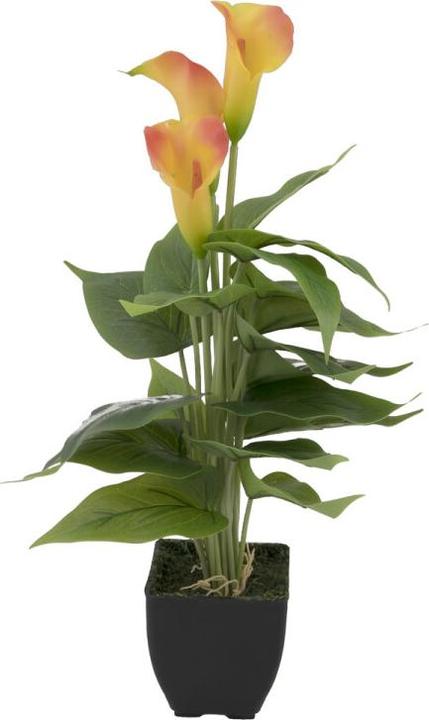 Europalms Calla mini, plante artificielle, jaune orange, 43cm (43 cm)