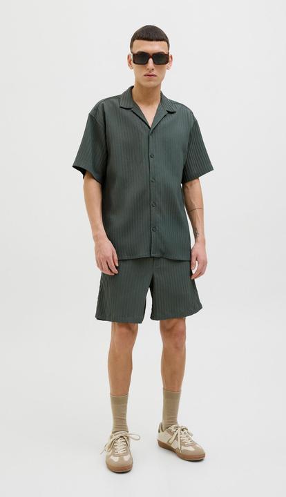 Actual product image Jack & Jones Regular Fit Relaxed Fit Shorts Relaxed Fit Shorts (XS)