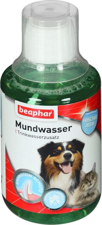 Actual product image beaphar Oral & Dental Care skirta dogs ir cats 250 ml (Cat, Dog, 250 ml)