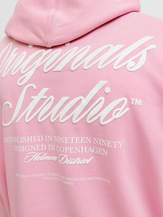 Actual product image Jack & Jones Kapuzenpullover Kapuzenpullover (XS)